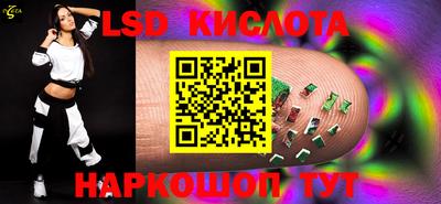 стафф Гатчина