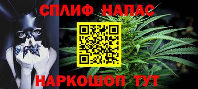 стафф Гатчина