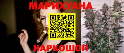 стафф Гатчина