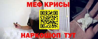 стафф Гатчина